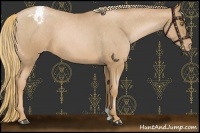 Horse Color:Red Roan Pearl Varnish 