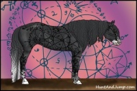 Horse Color:Black  and Black Splash 