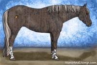 Horse Color:Black  and Silver Black 