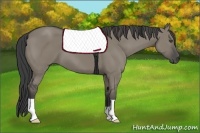 Horse Color:Smoky Grullo