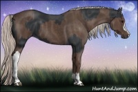 Horse Color:Black and Silver Black