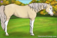 Horse Color:Silver Classic Champagne Dun Splash Frame 