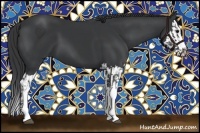 Horse Color:Black and Black Splash