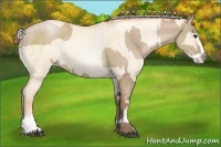 Horse Color:Grullo Pearl Splash Brindle  and Classic Champagne Pearl Dun Splash Brindle 