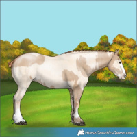 Horse Color:Grullo Pearl Splash Brindle and Classic Champagne Pearl Dun Splash Brindle
