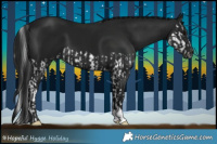 Horse Color:Gray Black Splash and Gray Black