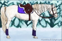 Horse Color:Buckskin Roan Pearl  and Buckskin Roan Pearl Blanket 