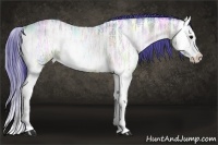 Horse Color:Watercolor Bay Ice Roan Onyx Splash