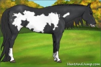 Horse Color:Black  and Black Frame 