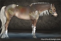 Horse Color:White Spotted Liver Red Dun  and Liver Chestnut Sabino Tobiano 