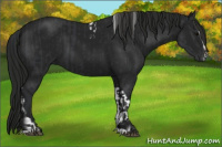 Horse Color:Black Tobiano and Gray Black Sabino