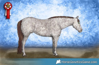 Horse Color:White Spotted Chocolate Black Ice Snowdrop Pearl  and Chocolate Black Ice 