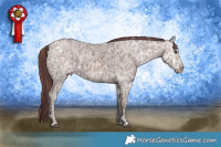 Horse Color:White Spotted Chocolate Black Ice Pearl and Chocolate Black Ice