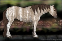 Horse Color:Liver Red Dun Ice 