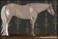 Horse Color:White Spotted Chocolate Silver Smoky Grullo
