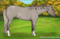 Horse Color:Silver Grullo Roan 