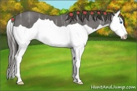 Horse Color:Smoky Black Ice Splash 