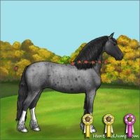 Horse Color:Blue Roan 