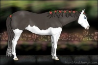 Horse Color:Smoky Black Splash 