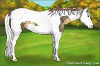 Horse Color:Silver Smoky Black Splash Tobiano 