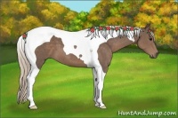 Horse Color:Silver Black Tobiano