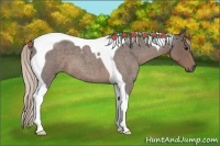 Horse Color:Silver Blue Roan Tobiano
