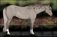 Horse Color:Silver Grullo Roan 