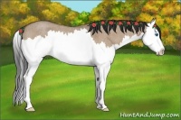 Horse Color:Bay Roan Dun Splash Rabicano