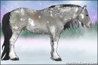 Horse Color:White Spotted Black Ice 