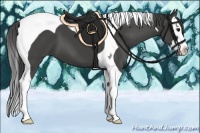 Horse Color:Smoky Black Splash Tobiano