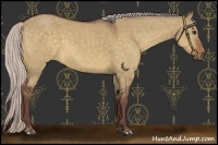 Horse Color:Chocolate Silver Brown Dun Sabino 