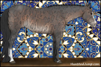 Horse Color:Brown Ice Sabino