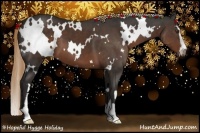 Horse Color:White Spotted Liver Chestnut Sabino