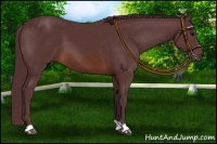 Horse Color:Chocolate Brown 