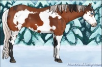 Horse Color:Brown Splash Frame  and Silver Brown Splash Frame 