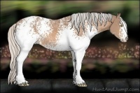 Horse Color:White Spotted Silver Buckskin Ice 
