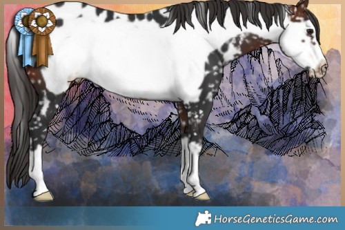 Horse Color:Brown Frame Near Leopard