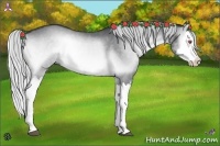 Horse Color:Silver Brown Chinchilla Onyx Splash