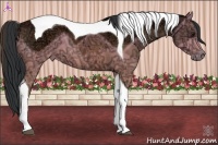 Horse Color:Bay Ice Tobiano