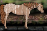 Horse Color:Chestnut Ice
