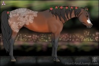 Horse Color:Bay Ice 