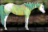 Horse Color:Nacre Watercolor Bay Splash Appaloosa 