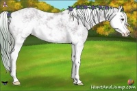 Horse Color:Watercolor Red Dun Sabino Splash