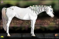 Horse Color:Nacre Black Sabino Splash Appaloosa