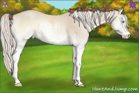 Horse Color:White Spotted Cremello Onyx Sabino 