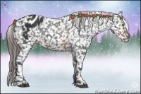 Horse Color:Brown Snowflake Varnish Rabicano 