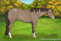 Horse Color:Classic Champagne 