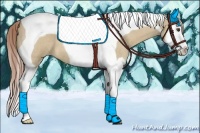 Horse Color:Palomino Roan Dun Splash Tobiano 