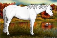 Horse Color:Liver Chestnut Frame 