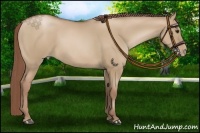 Horse Color:Chocolate Grullo Pearl 